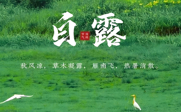 白露晨光,十全彩钢厂与您共建美好明天 白露晨光,十全彩钢厂与您共建美好明天